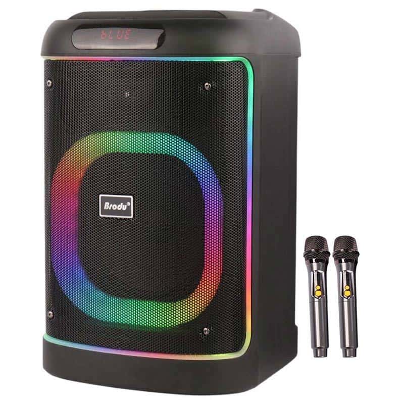 اسپیکر بلوتوثی برودو BTS-2103 + میکروفون