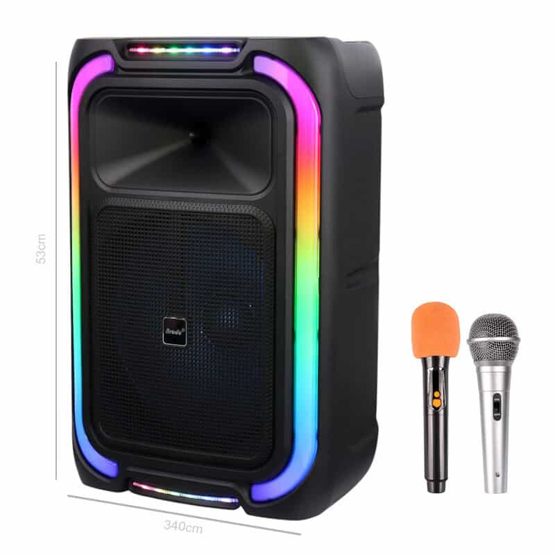 اسپیکر چمدانی بلوتوثی برودو BTS-1890 + میکروفون