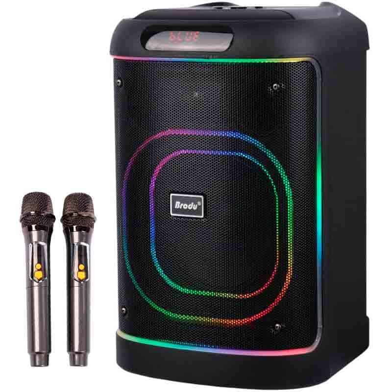 اسپیکر بلوتوثی برودو BTS-2105 + میکروفون